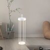 Leuchten Direkt lights ANSELM floor lamp LED white, 1-light source