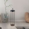 Leuchten Direkt lights ANSELM floor lamp LED black, 1-light source