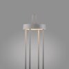 Leuchten Direkt lights ANSELM floor lamp LED grey, 1-light source