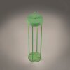 Leuchten Direkt lights ANSELM floor lamp LED green, 1-light source