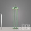 Leuchten Direkt lights ANSELM floor lamp LED green, 1-light source