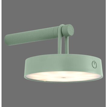 Leuchten Direkt lights ARMA pendant light LED green, 1-light source