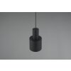 Trio lights Agudo pendant light black, 1-light source