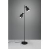 Trio lights Agudo floor lamp black, 2-light sources