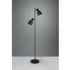 Trio lights Agudo floor lamp black, 2-light sources