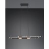 Trio lights ALBANY pendant light LED black, 1-light source, Remote control