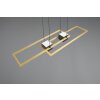 Trio lights ALBANY pendant light LED black-gold, 1-light source, Remote control