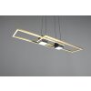 Trio lights ALBANY pendant light LED black-gold, 1-light source, Remote control