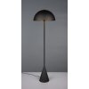 Trio lights Alfie floor lamp black, 1-light source