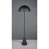 Trio lights Alfie floor lamp black, 1-light source