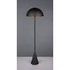 Trio lights Alfie floor lamp black, 1-light source