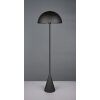 Trio lights Alfie floor lamp black, 1-light source