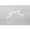 Trio lights Ambala ceiling spotlight LED white, 2-light sources