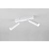 Trio lights Ambala ceiling spotlight LED white, 2-light sources