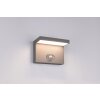 Trio lights Blyde wall light LED anthracite, 1-light source, Motion sensor