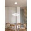 Trio lights Cardona pendant light LED white, 1-light source