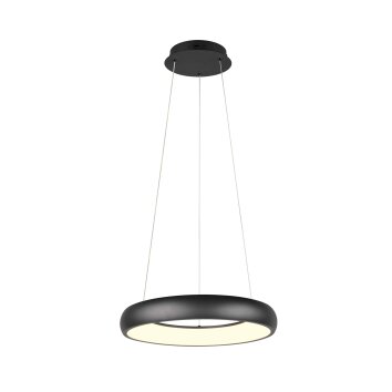 Trio lights Cardona pendant light LED black, 1-light source