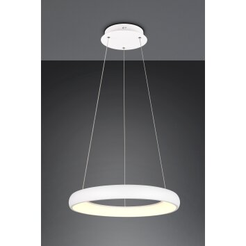 Trio lights Cardona pendant light LED white, 1-light source