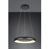 Trio lights Cardona pendant light LED black, 1-light source