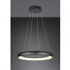 Trio lights Cardona pendant light LED black, 1-light source