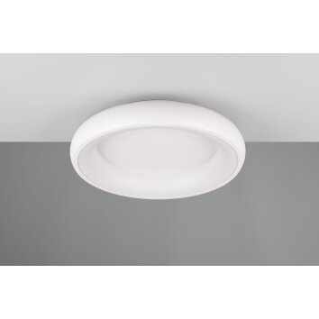 Trio lights Cardona ceiling light LED white, 1-light source