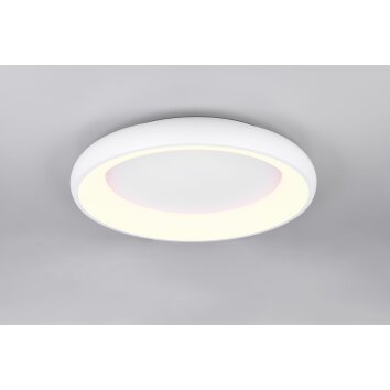 Trio lights Cardona ceiling light LED white, 1-light source