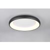 Trio lights Cardona ceiling light LED black, 1-light source