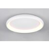 Trio lights Cardona ceiling light LED white, 1-light source