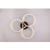 Trio lights Caruso ceiling light LED black-gold, 1-light source