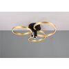 Trio lights Caruso ceiling light LED black-gold, 1-light source