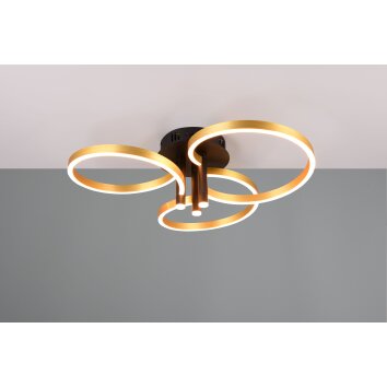 Trio lights Caruso ceiling light LED black-gold, 1-light source