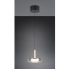 Trio lights Celeste pendant light LED black, 1-light source