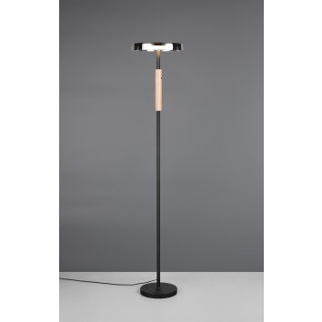 Trio lights Celeste floor lamp LED black, 1-light source