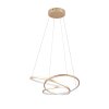 Trio lights Darvin pendant light LED gold, 1-light source