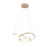 Trio lights Darvin pendant light LED gold, 1-light source