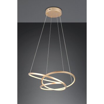 Trio lights Darvin pendant light LED gold, 1-light source