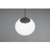 Trio lights Fomento pendant light black, 1-light source