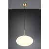 Trio lights Fomento pendant light brass, 1-light source