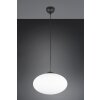 Trio lights Fomento pendant light black, 1-light source