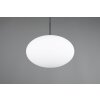 Trio lights Fomento pendant light black, 1-light source