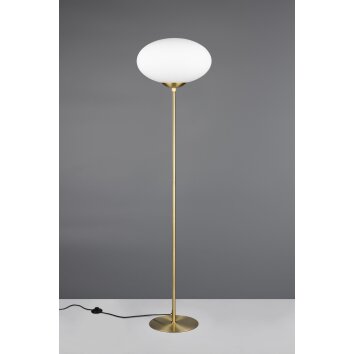 Trio lights Fomento floor lamp brass, 1-light source