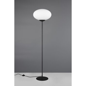 Trio lights Fomento floor lamp black, 1-light source