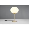 Trio lights Fomento table lamp brass, 1-light source