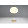 Trio lights Fomento table lamp brass, 1-light source