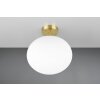 Trio lights Fomento ceiling light brass, 1-light source