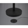 Reality lights Gomez floor lamp LED black, 1-light source