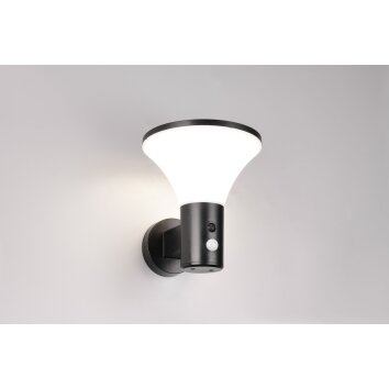 Reality lights Gorda wall light LED black, 1-light source, Motion sensor