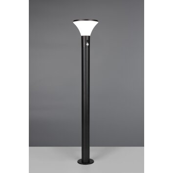 Reality lights Gorda outdoor floor lamp LED black, 1-light source, Motion sensor