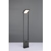 Trio lights Malawi outdoor floor lamp LED anthracite, 1-light source, Motion sensor