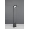 Trio lights Malawi outdoor floor lamp LED anthracite, 1-light source, Motion sensor